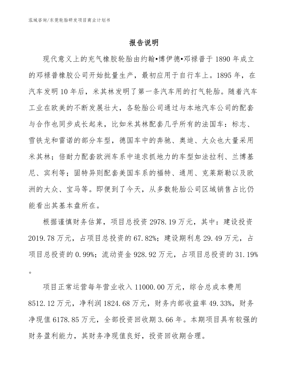 东莞轮胎研发项目商业计划书_第1页