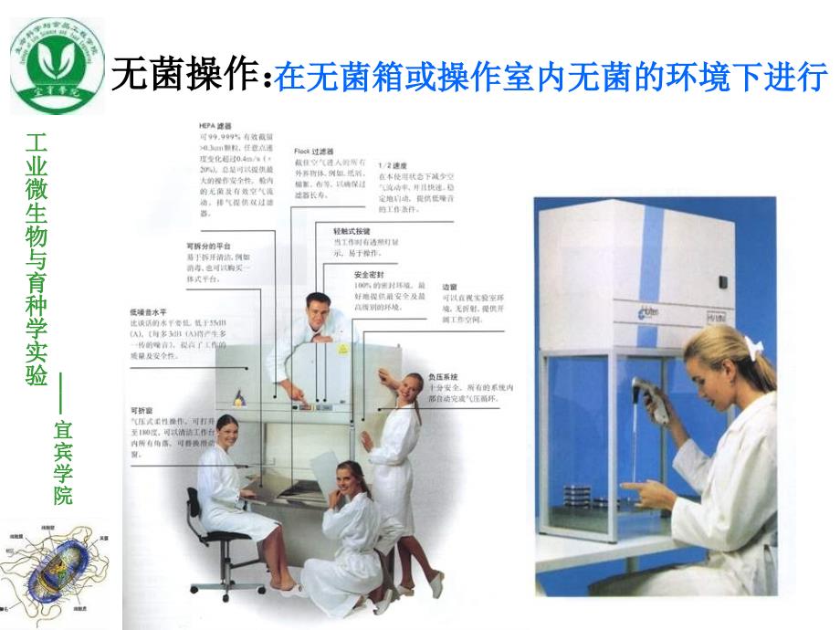 实验二微生物的分离纯化_第4页