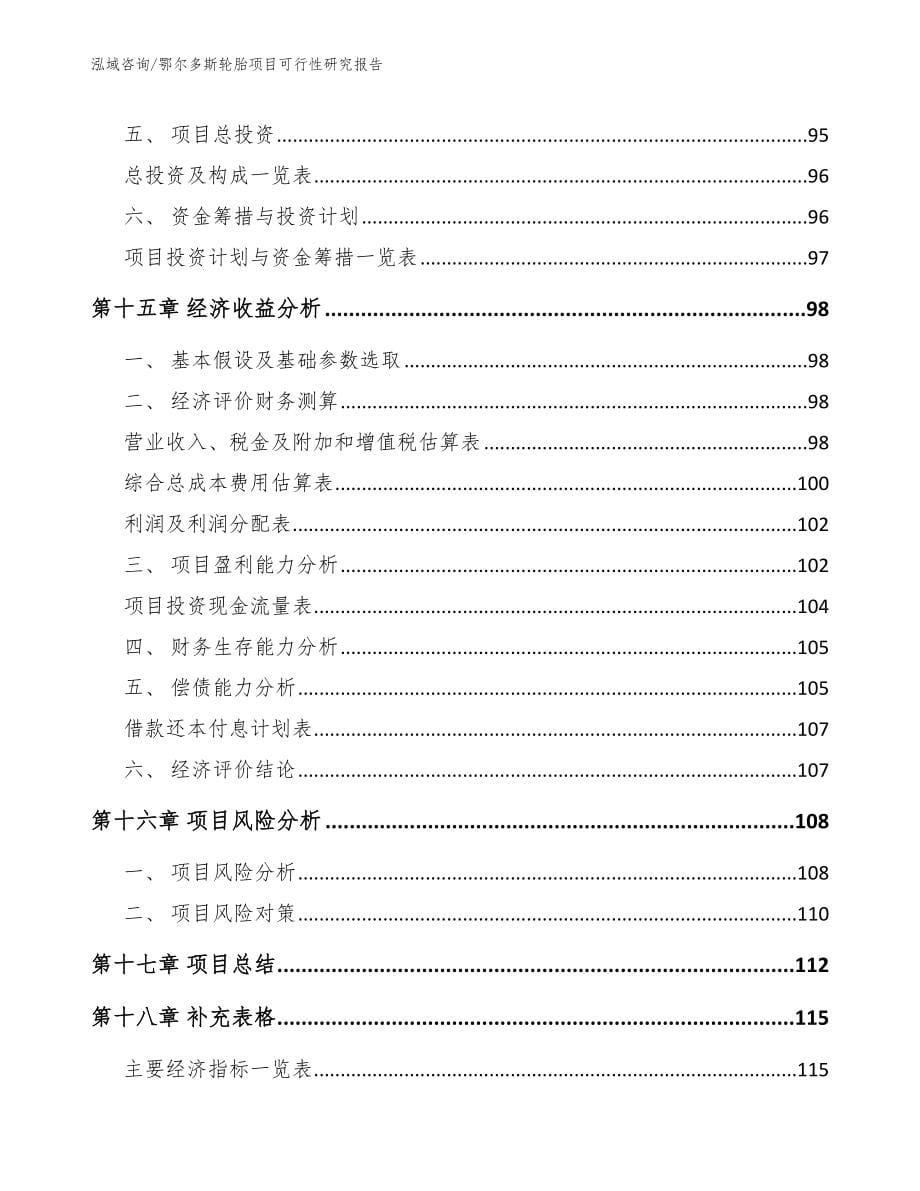 鄂尔多斯轮胎项目可行性研究报告_范文_第5页