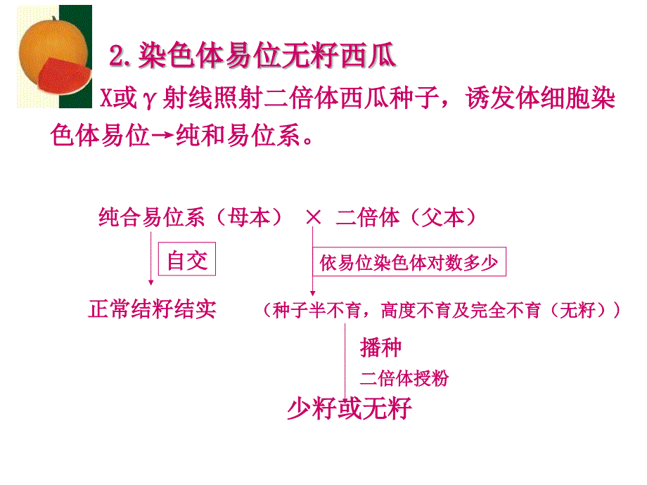 教学课件第四章西瓜主要病虫害防治_第4页