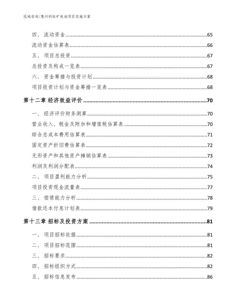 惠州钙钛矿电池项目实施方案_第5页