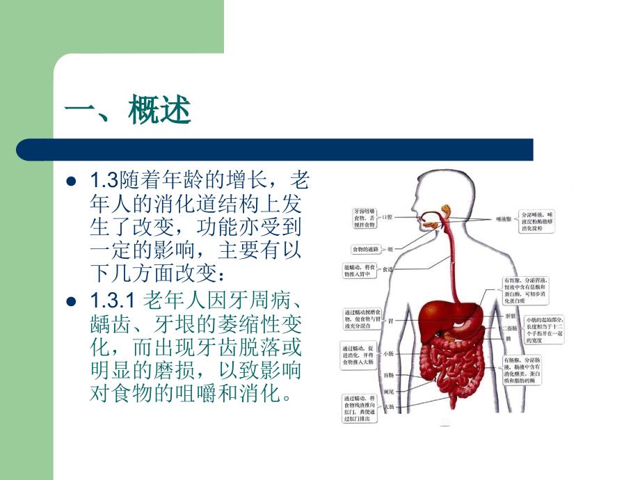 老年人饮食护理_第3页