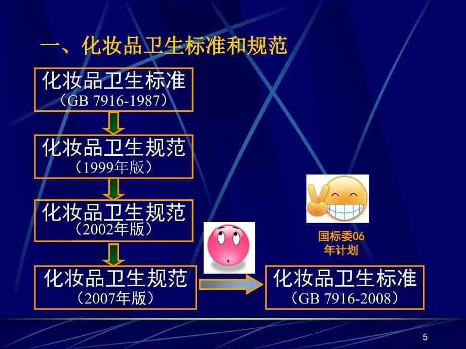 我国化妆品卫生标准体系.ppt_第5页