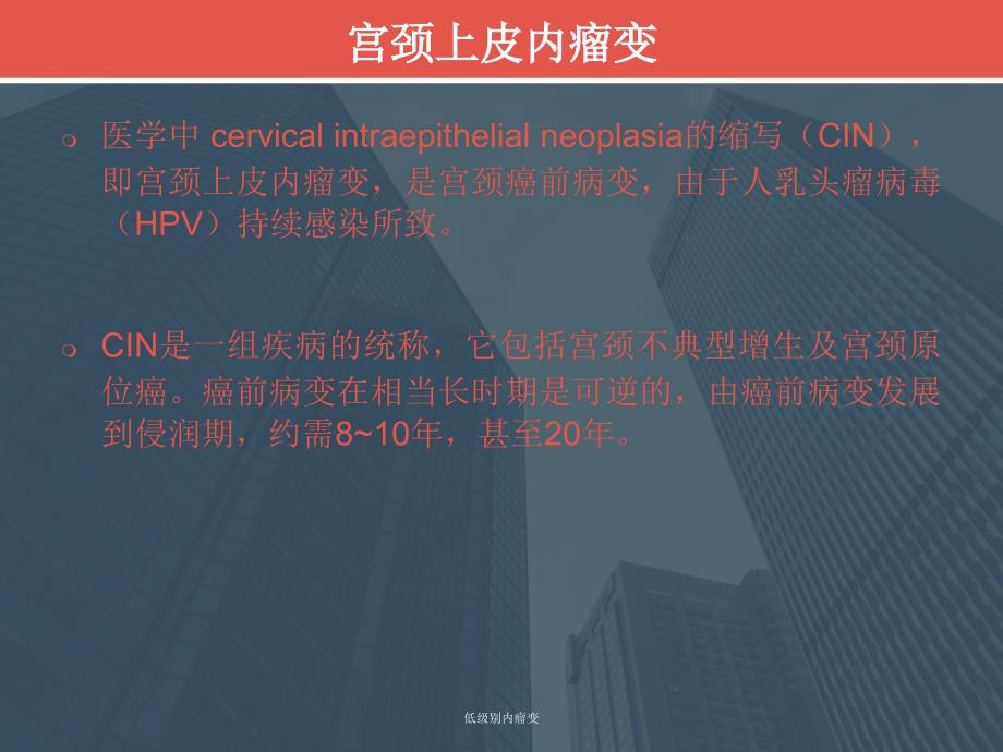 低级别内瘤变课件_第3页