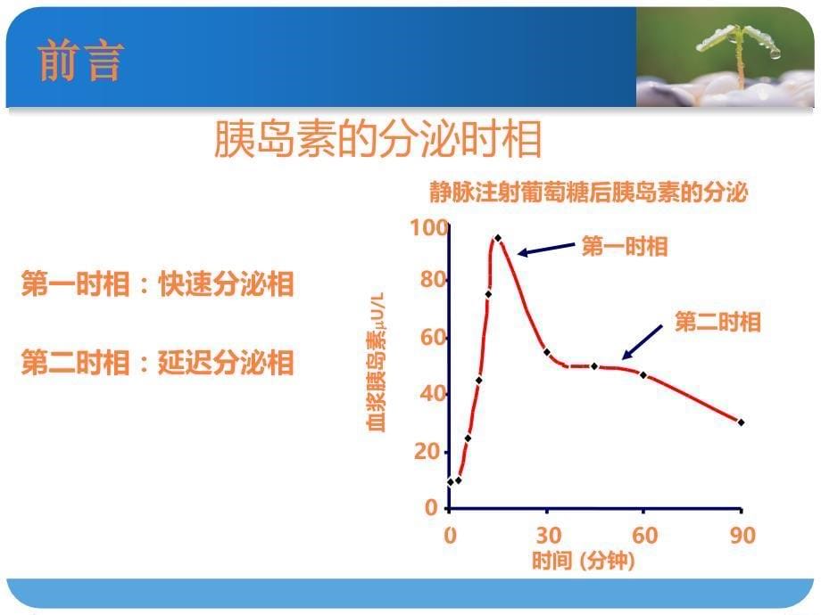 课件：口服降糖药.ppt_第5页