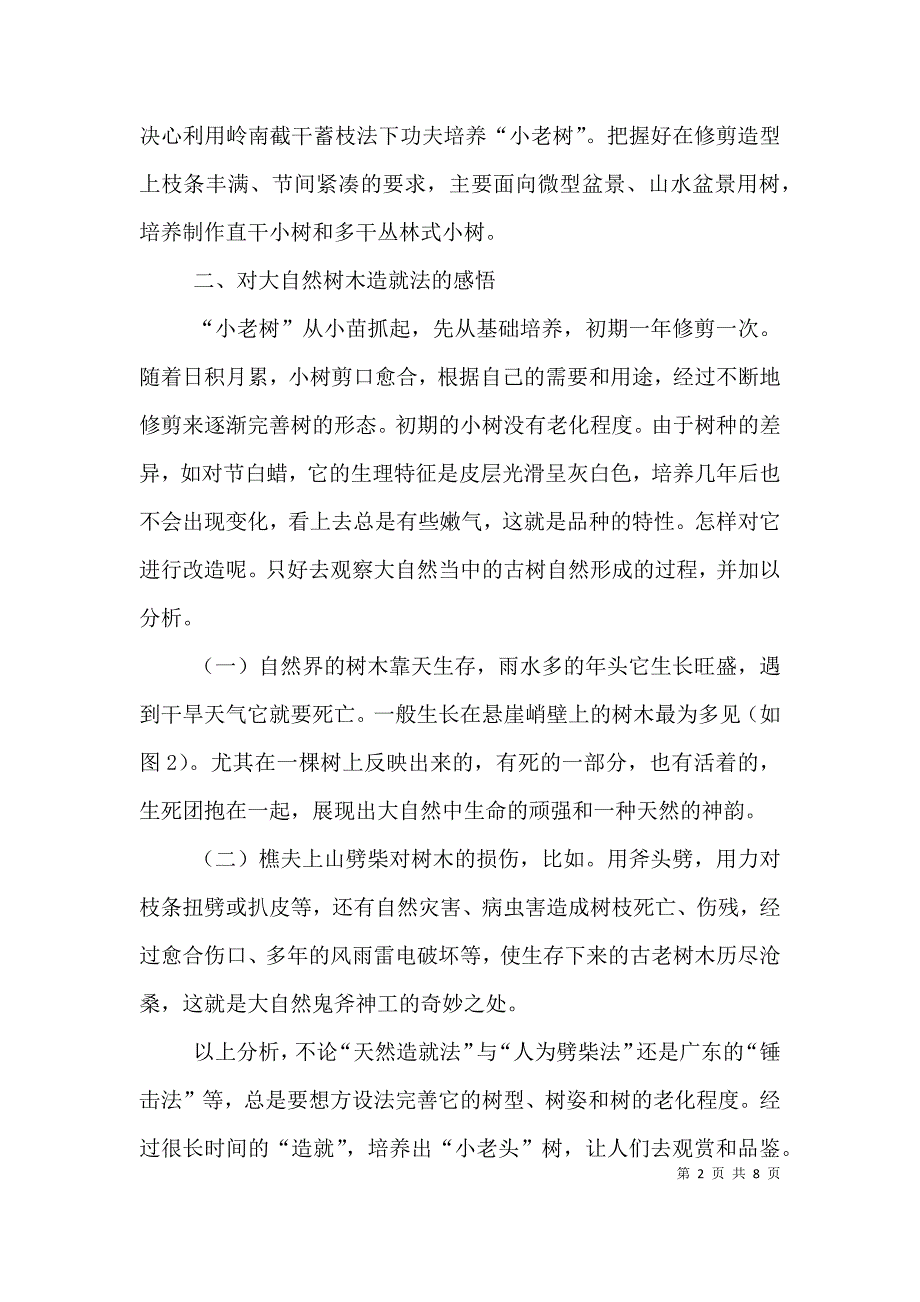 老树的所有小诗【“小老树”是怎样做成的】（二）.doc_第2页