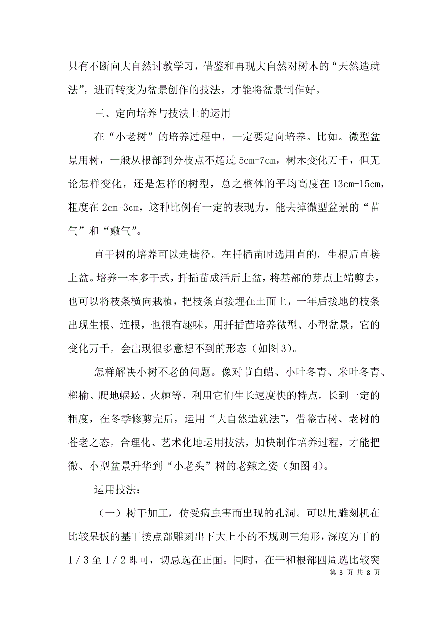 老树的所有小诗【“小老树”是怎样做成的】（二）.doc_第3页