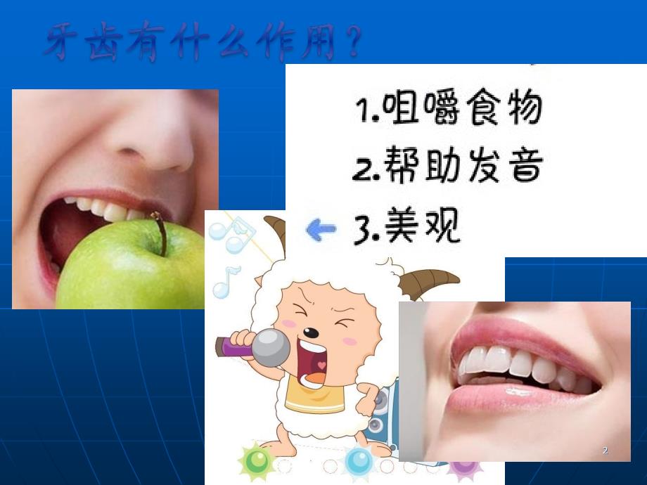 儿童牙齿保健ppt课件_第2页