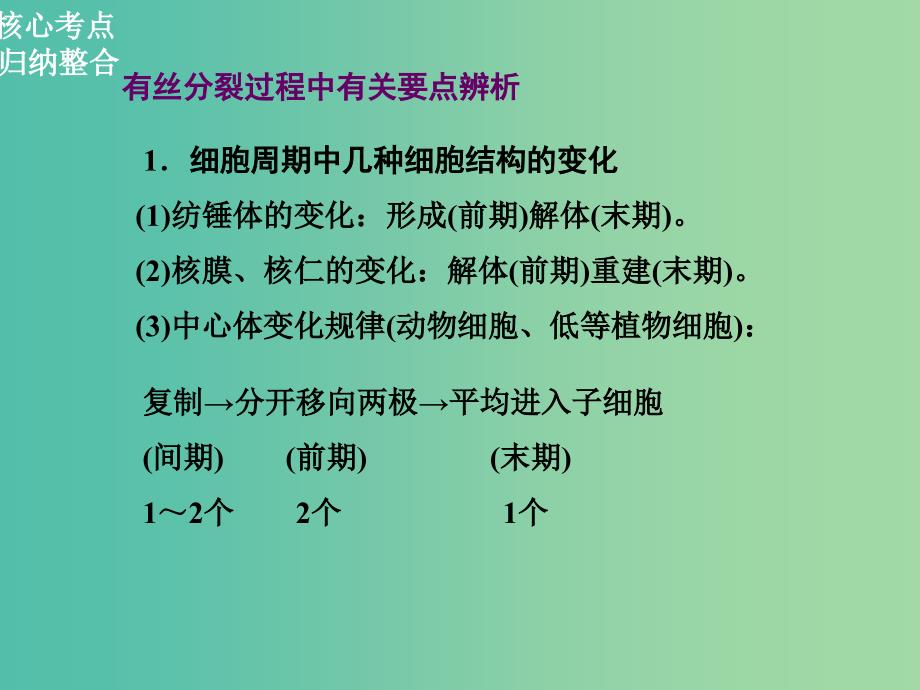 高三生物二轮复习 第一部分 知识落实篇 专题三 细胞的生命历程 第1讲 细胞增殖和受精作用课件.ppt_第2页