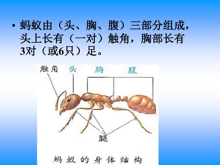 动物有哪些相同特点_第3页