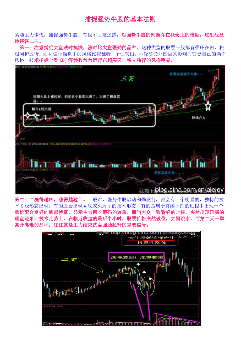 捕捉强势牛股的基本法则_第1页