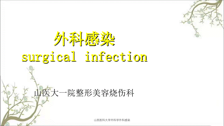 山西医科大学外科学外科感染_第1页