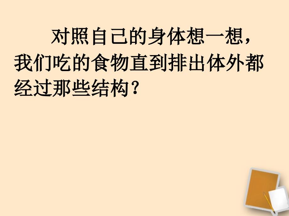 《人体的消化与吸收》课件_苏教版_第3页