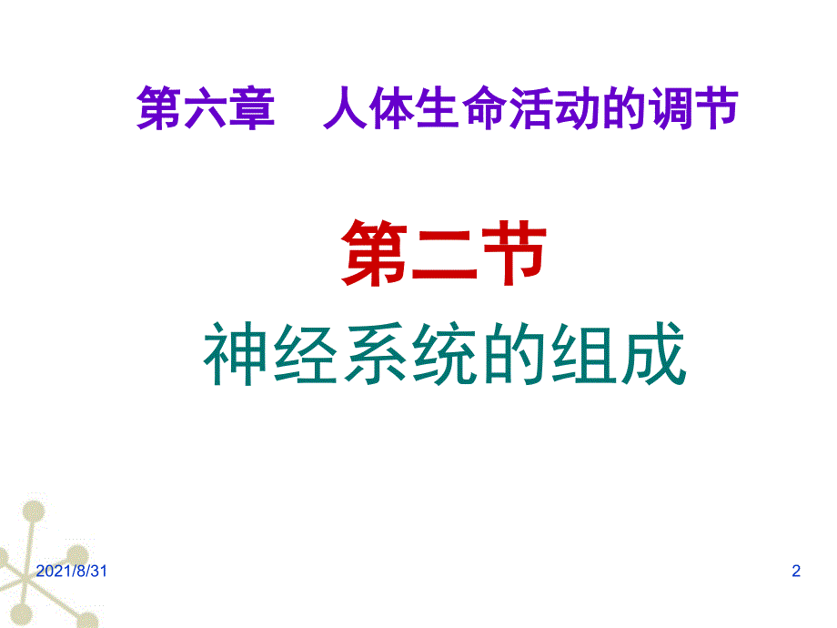 神经系统的组成PPT课件_第2页