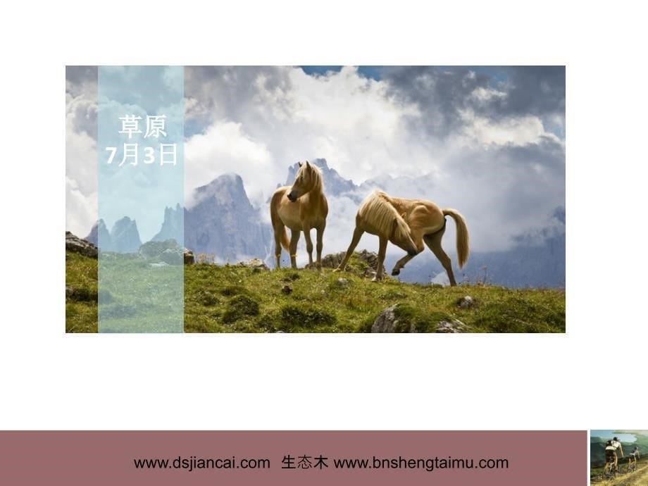 骑自行车旅游相册模版.ppt_第5页