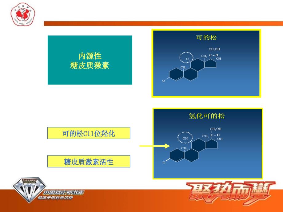 不同糖皮质激素之间的区别_第4页