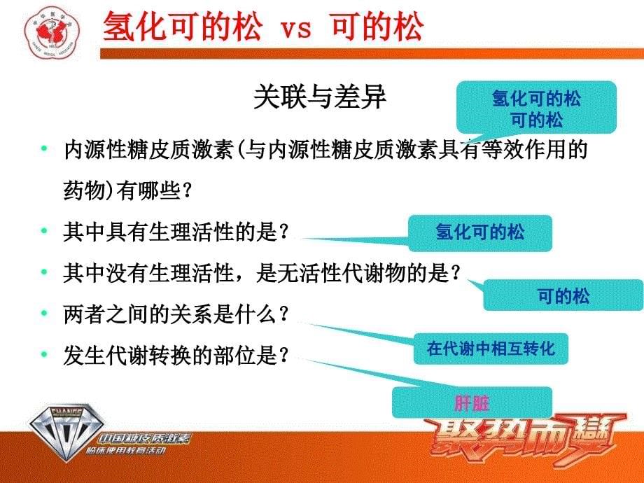 不同糖皮质激素之间的区别_第5页