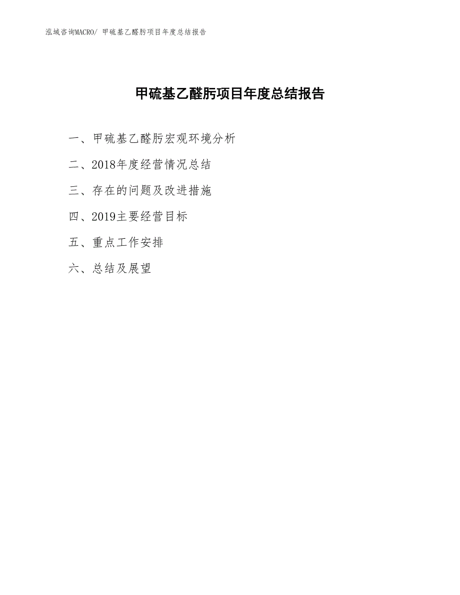 xx公司甲硫基乙醛肟项目年度总结报告.docx_第1页