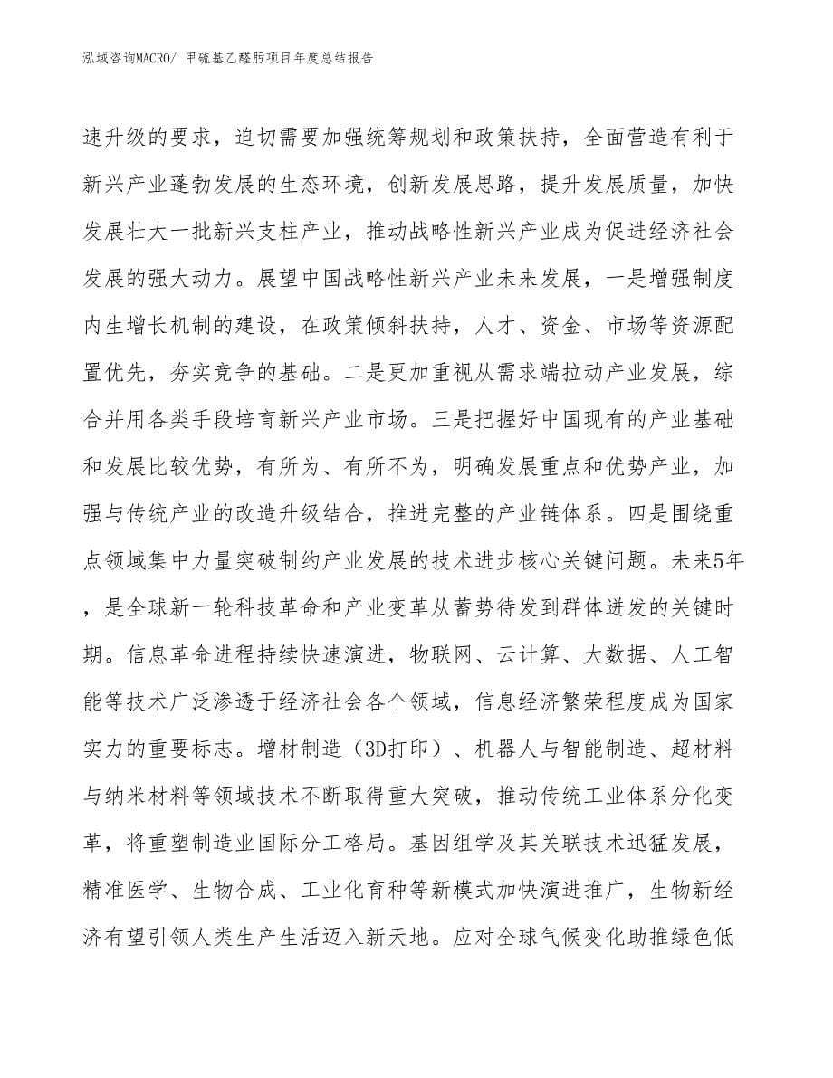 xx公司甲硫基乙醛肟项目年度总结报告.docx_第5页