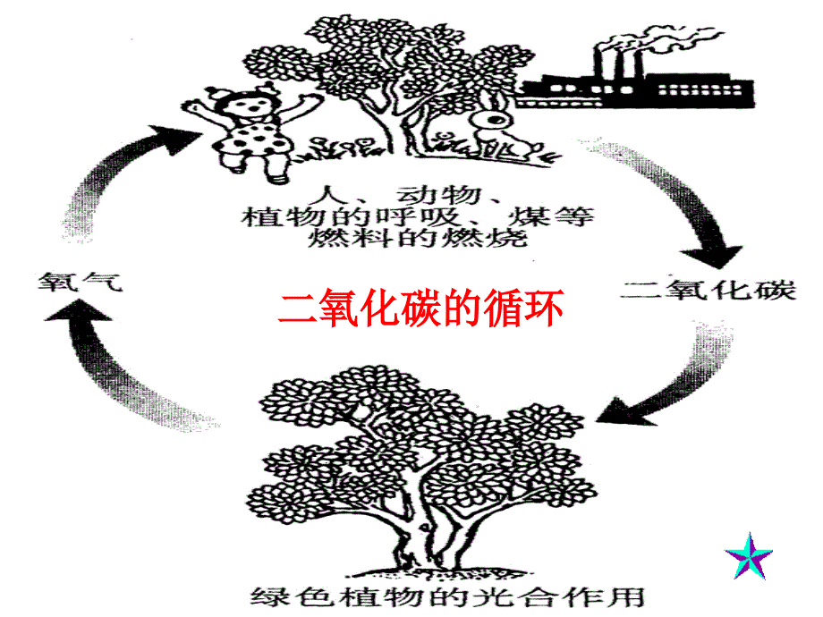 二氧化碳的性质和用途_第3页