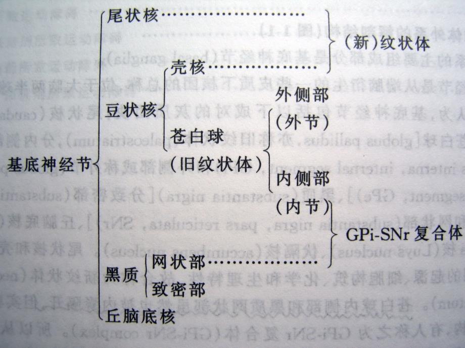 帕金森氏病讲座1_第3页