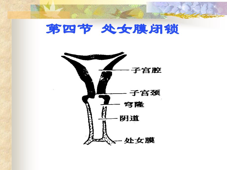 吉林大学第二医院王凤文_第2页