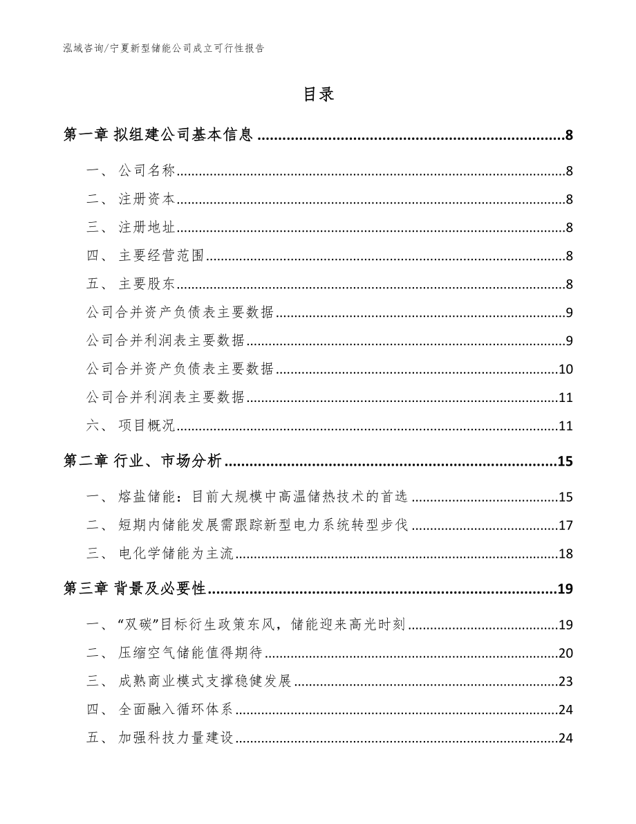 宁夏新型储能公司成立可行性报告【模板】_第2页