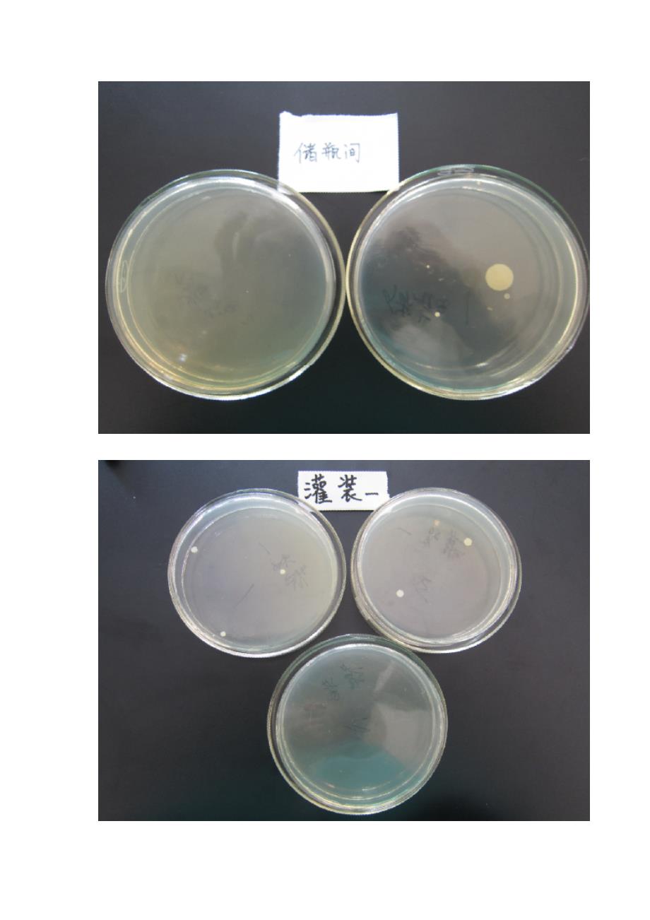 车间空气微生物检测报告_第3页