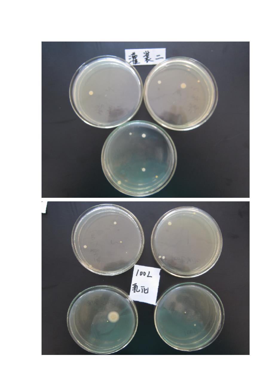 车间空气微生物检测报告_第4页