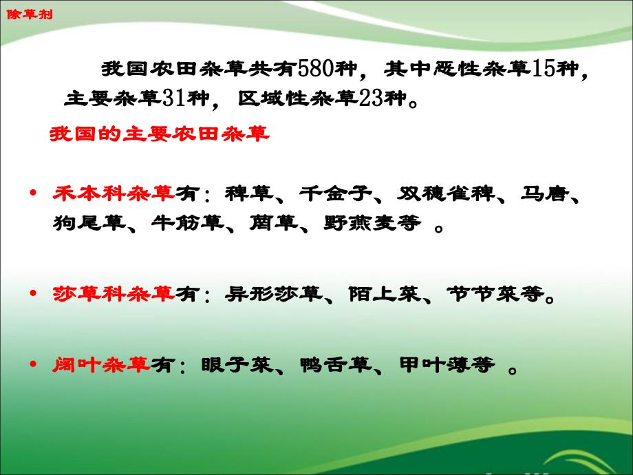 主要农田杂草图_第1页