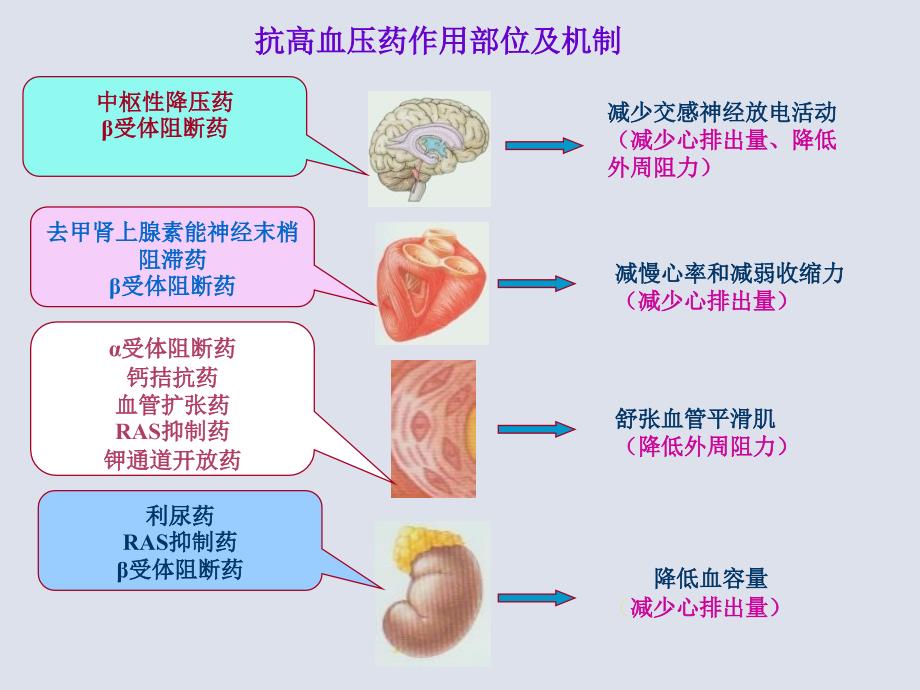 药大药理课件抗高血压药_第3页