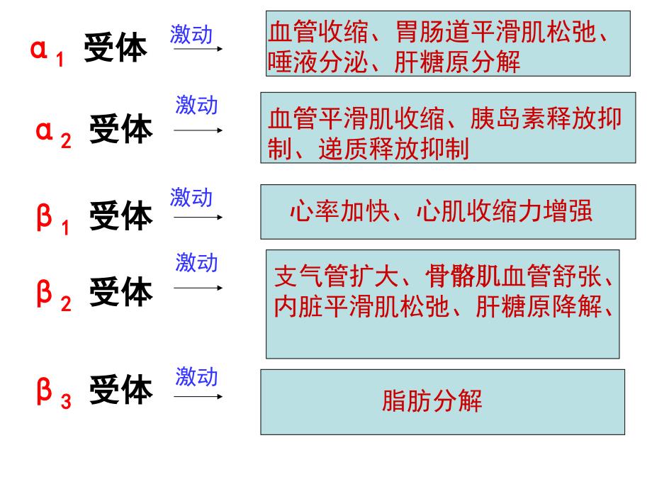 激动药激动药指导_第1页