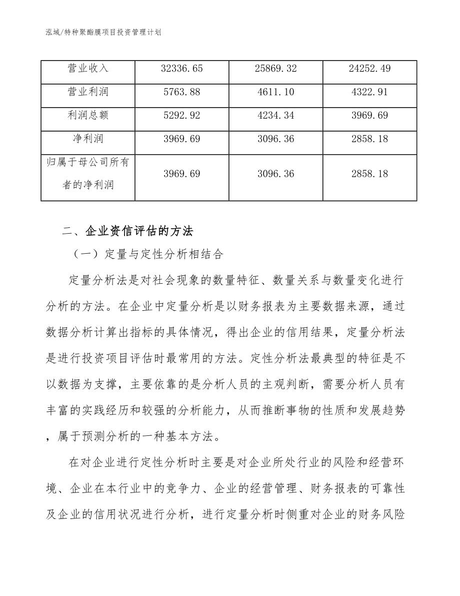 特种聚酯膜项目投资管理计划_第4页