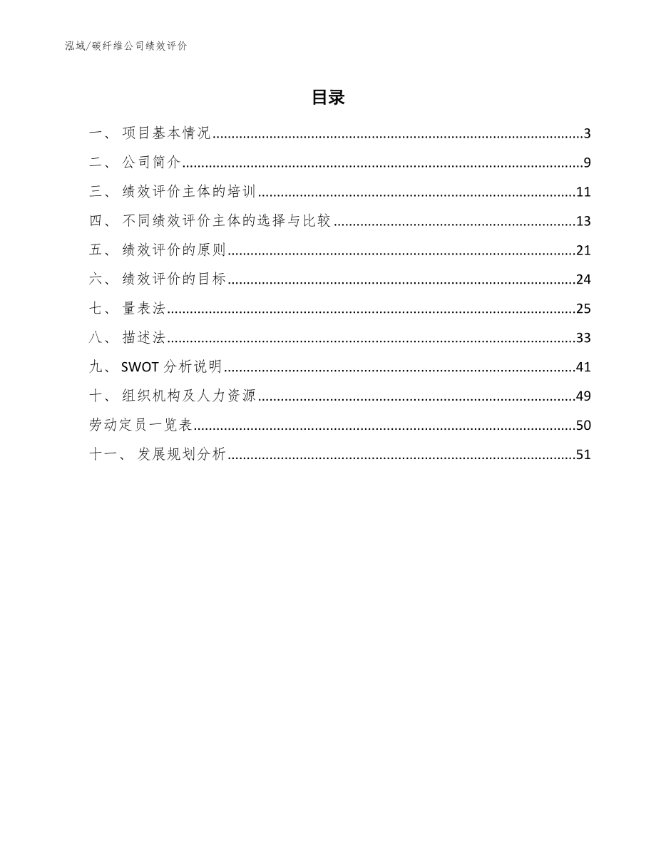 碳纤维公司绩效评价_第2页