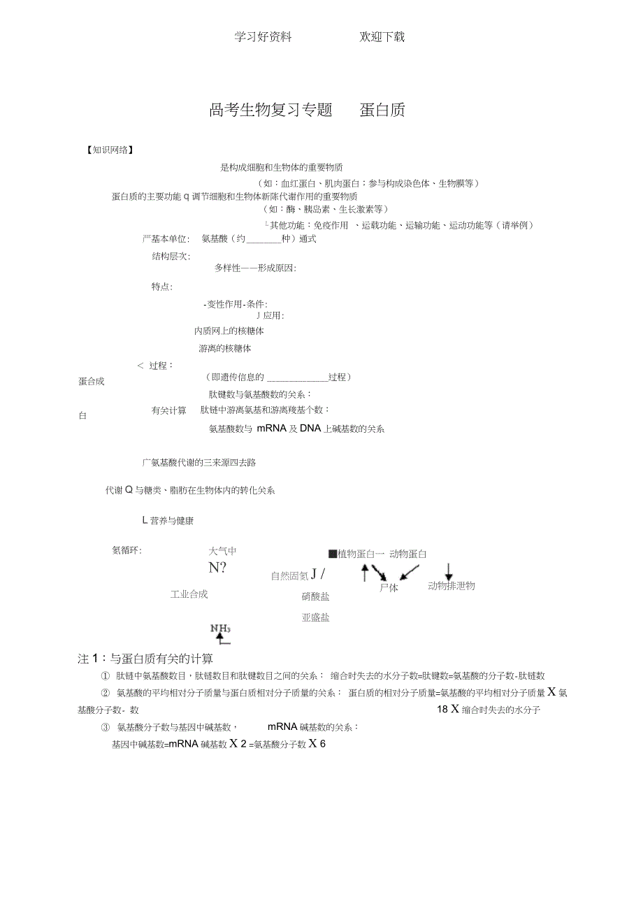 高考生物复习专题——蛋白质_第1页