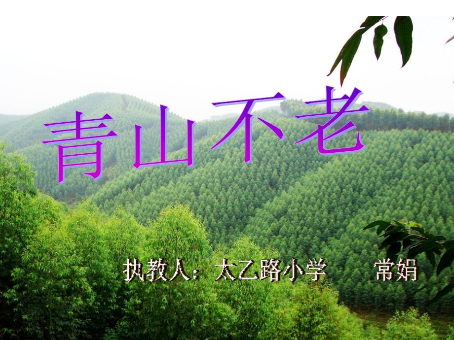 《青山不老》课件_第1页