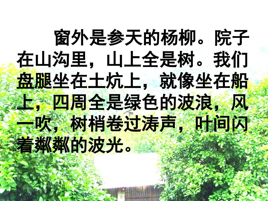 《青山不老》课件_第3页