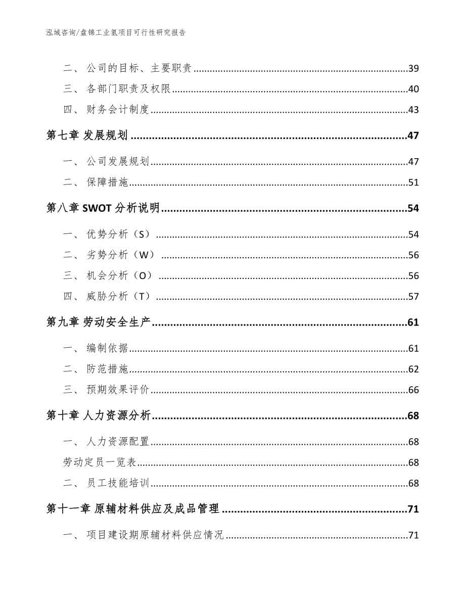 盘锦工业氢项目可行性研究报告【范文】_第5页