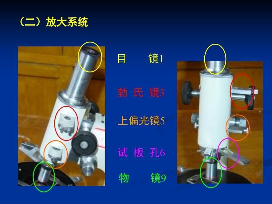 实验一偏光显微镜的构造、调节和使用_第5页