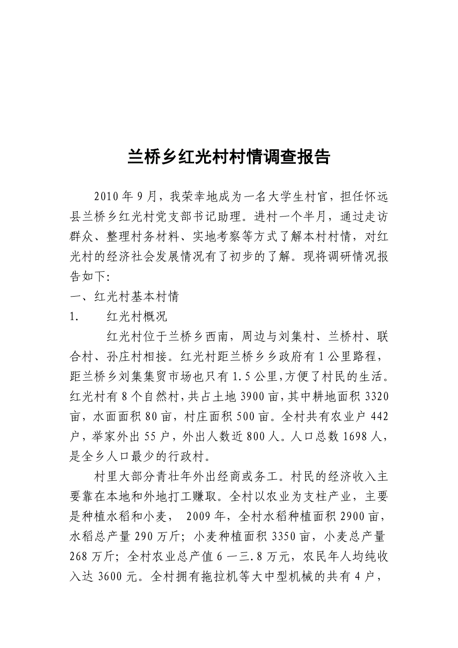 某乡村情调查报告_第1页