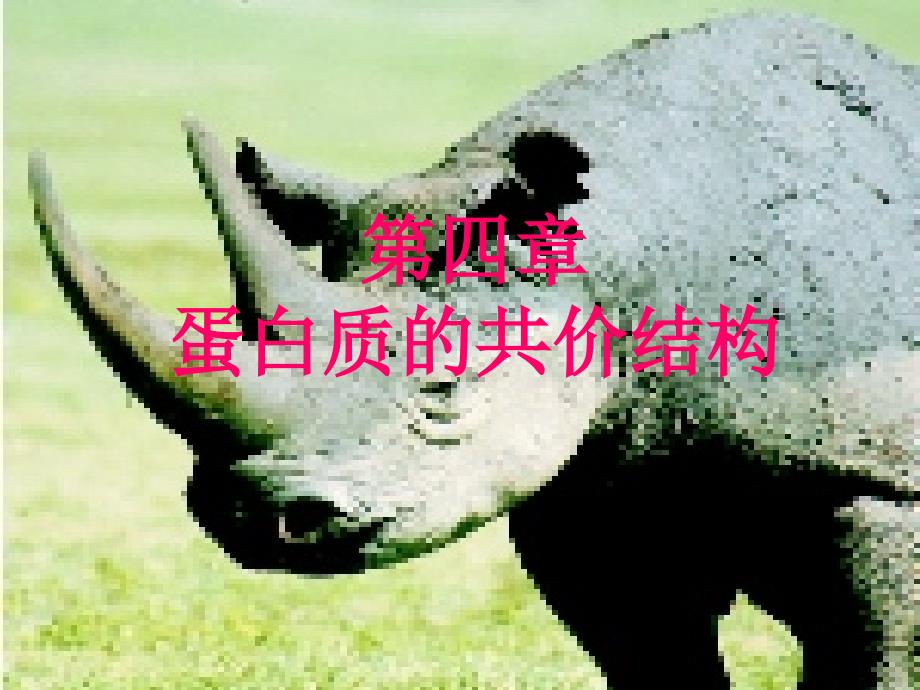 第4章 蛋白质的共价结构_第1页