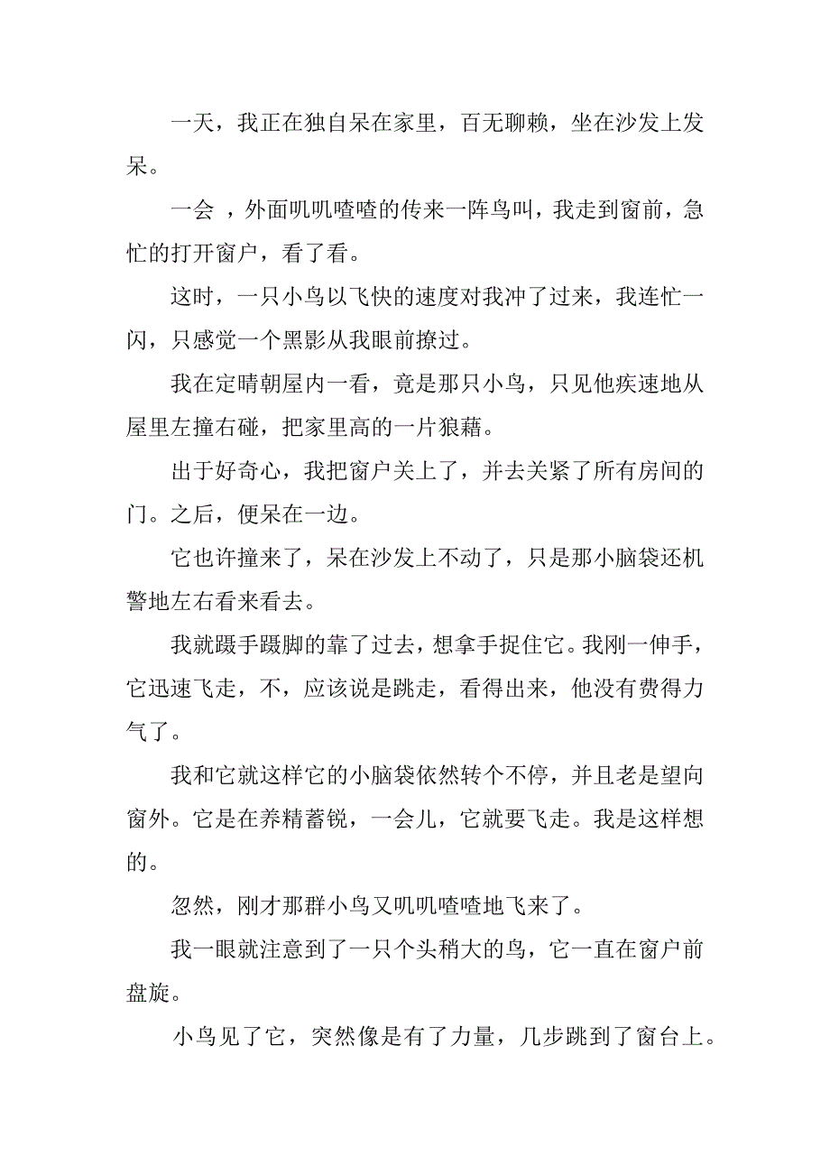 以精彩为话题的作文12篇(话题作文精选)_第3页