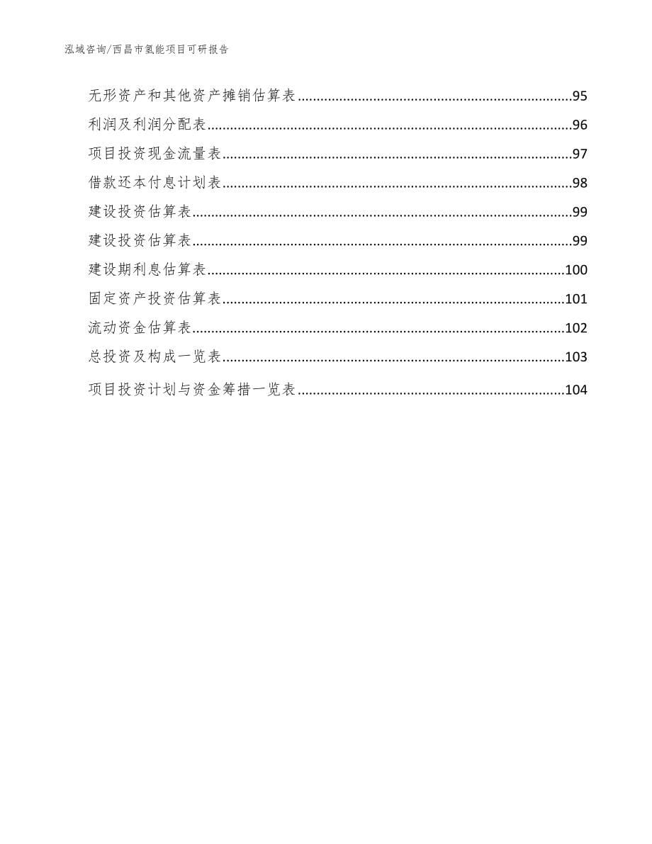 西昌市氢能项目可研报告【模板范文】_第5页