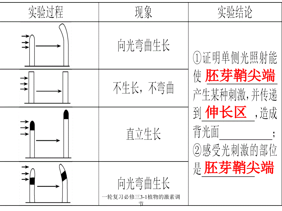 一轮复习必修三31植物的激素调节课件_第1页