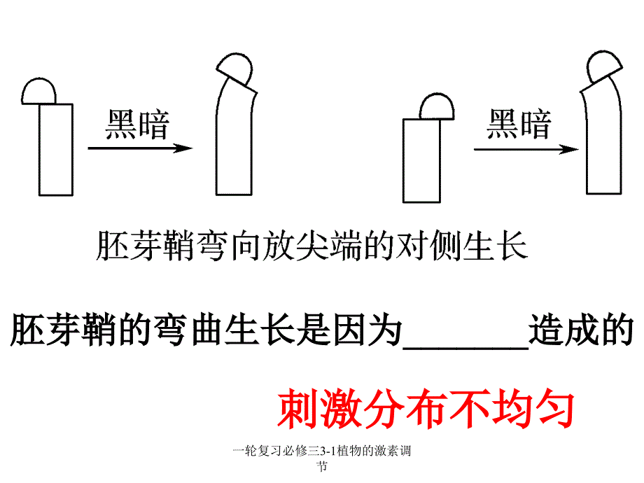 一轮复习必修三31植物的激素调节课件_第3页