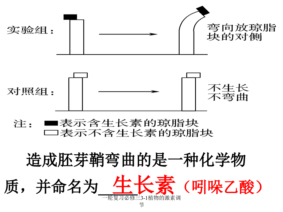 一轮复习必修三31植物的激素调节课件_第4页