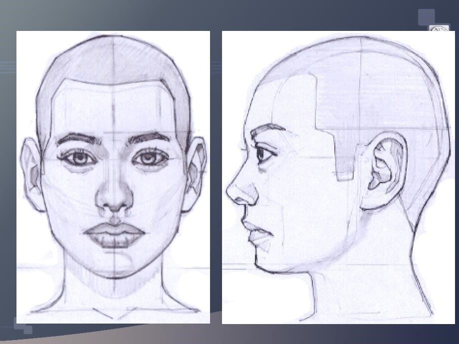 脸部的画法及表情_第5页