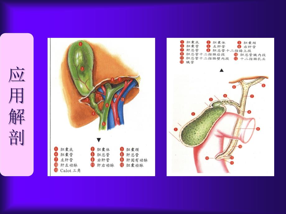 大连医科大学附属二医院_第2页