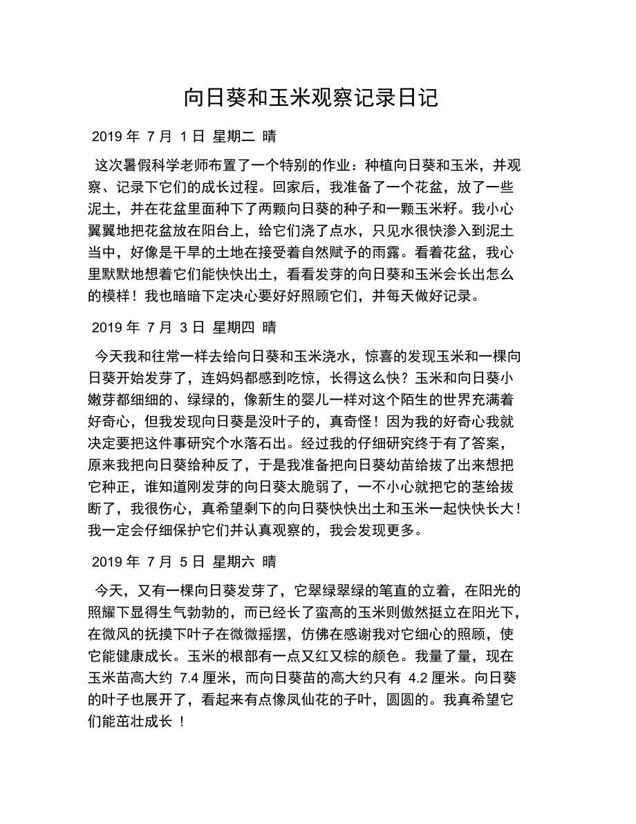 向日葵和玉米观察记录日记_第1页