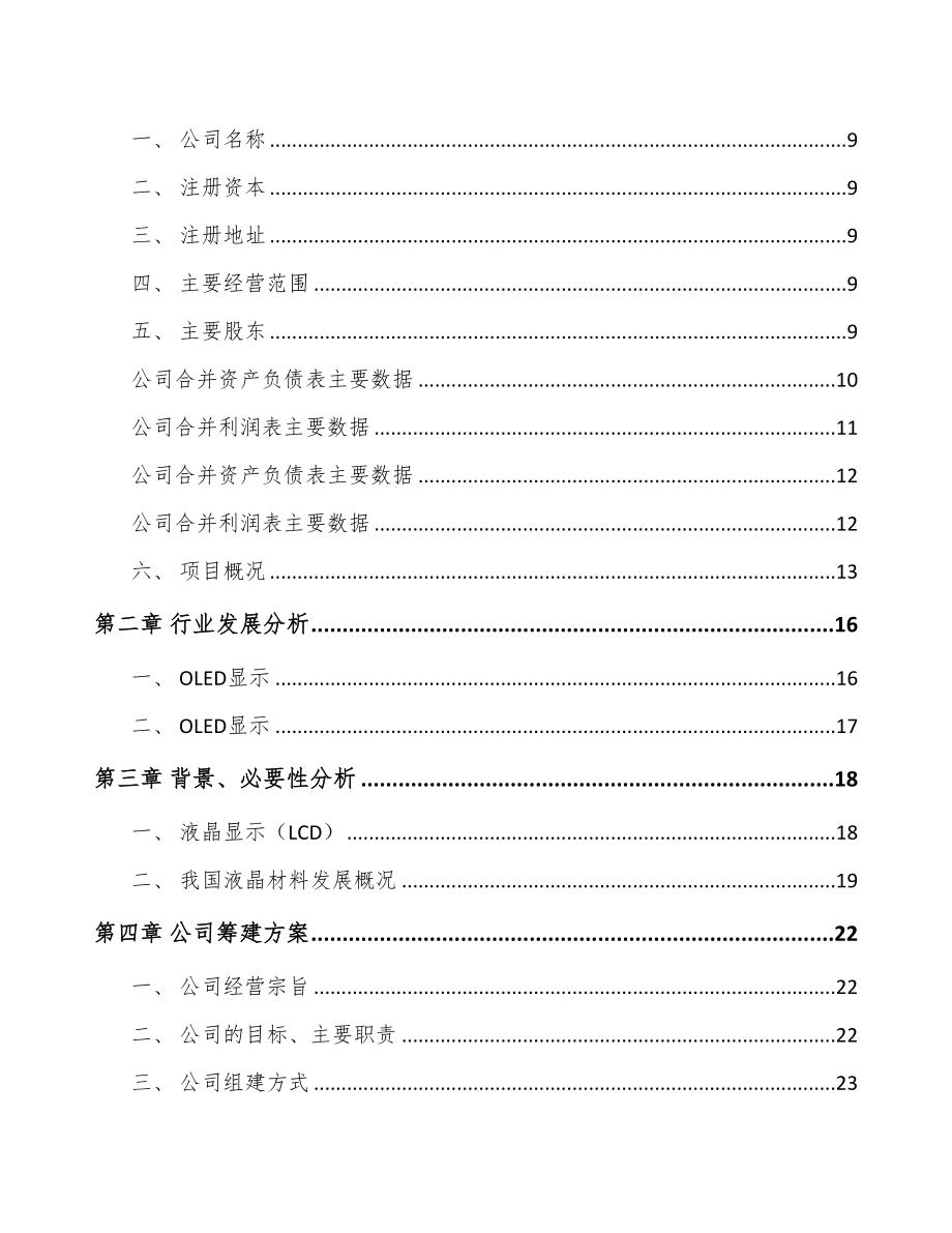 温州关于成立液晶显示材料公司可行性研究报告(DOC 80页)_第3页